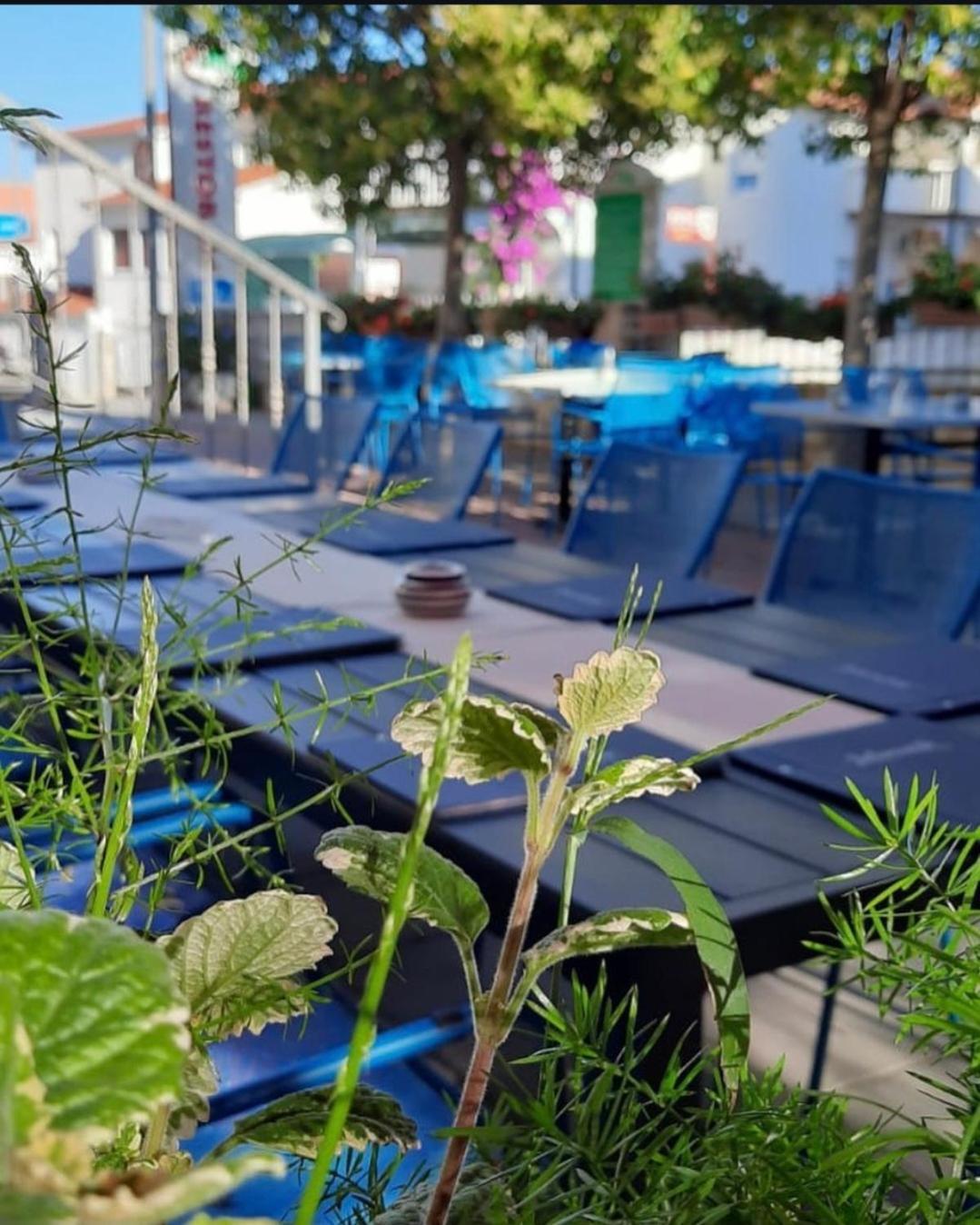 Apartment Ars Vivendi